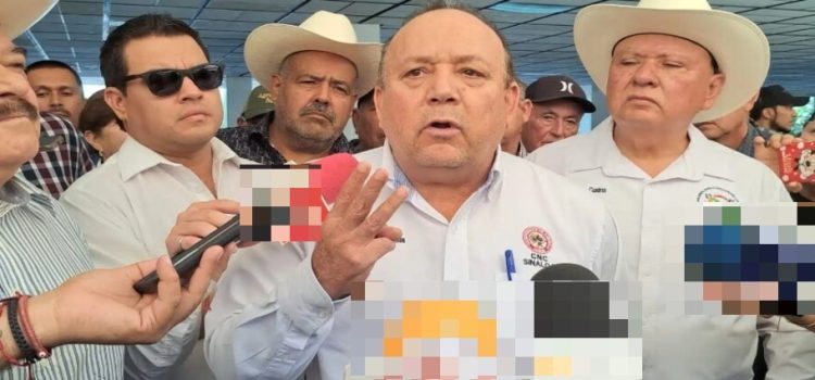 Agricultores exigen que se declare a Sinaloa estado de emergencia por precios de los granos