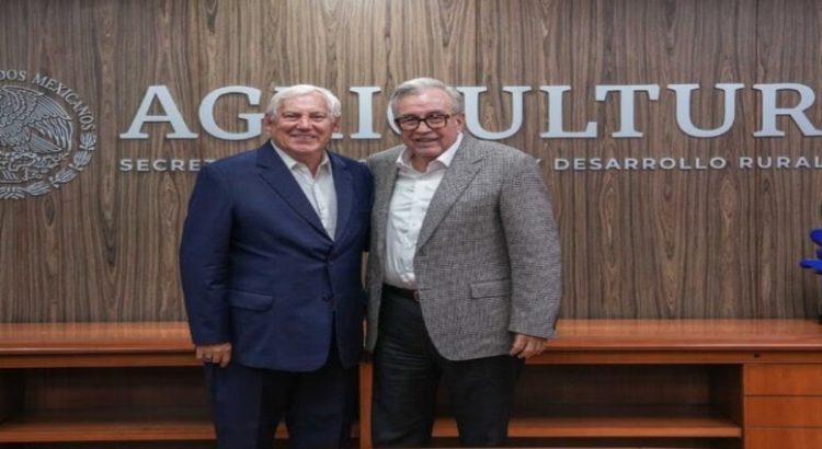 Productores, industriales y gobierno de Sinaloa llegan a acuerdo sobre comercialización para ciclo Otoño-Invierno