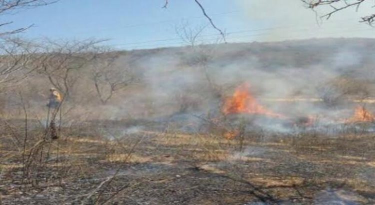En Sinaloa hay registro de 8 incendios forestales activos