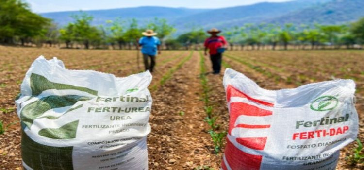 Comienza el programa de entrega de Fertilizantes para el Bienestar en Sinaloa