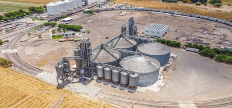 Productores de Sinaloa denuncian abusos en contratos de maíz