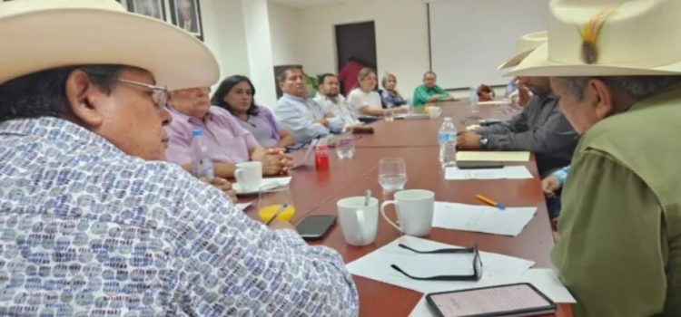 Buscan impulsar el sector agropecuario en Sinaloa