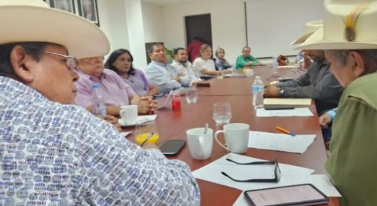 Buscan impulsar el sector agropecuario en Sinaloa