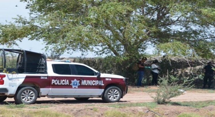 Muere velador de aeródromo en Los Mochis