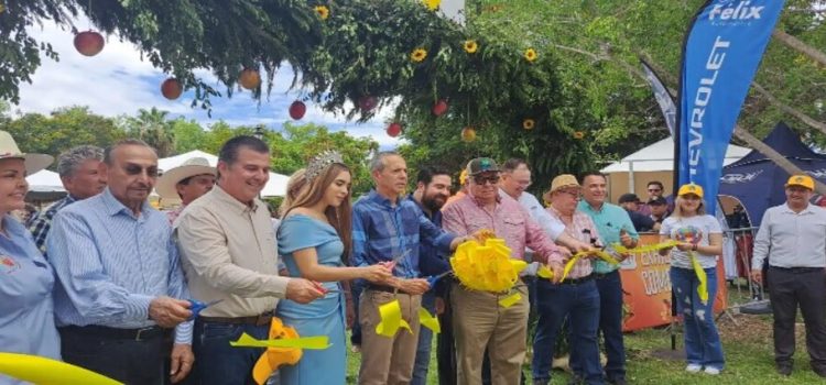 Arranca el Festival del Mango Qué Mangazo 2024