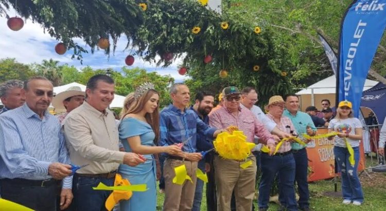 Arranca el Festival del Mango Qué Mangazo 2024