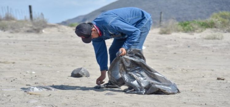 Realizan jornada de limpieza en Playa El Maviri