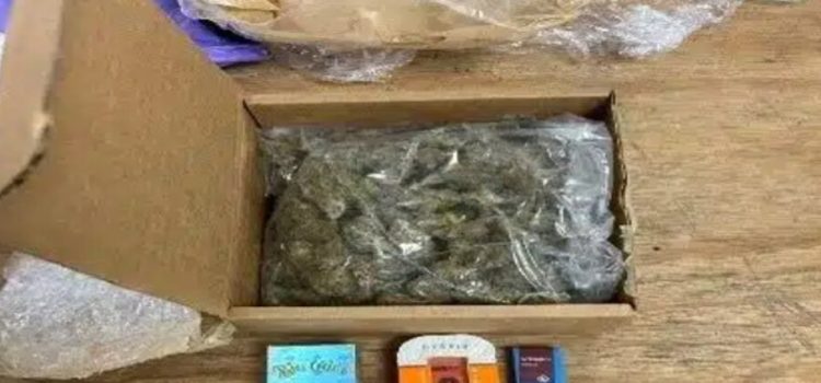 Incautan marihuana, THC y vapeadores en paquetería