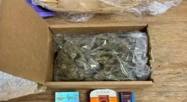 Incautan marihuana, THC y vapeadores en paquetería