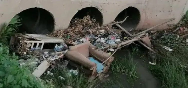 Limpian más de 42 kilómetros de drenes para evitar inundaciones