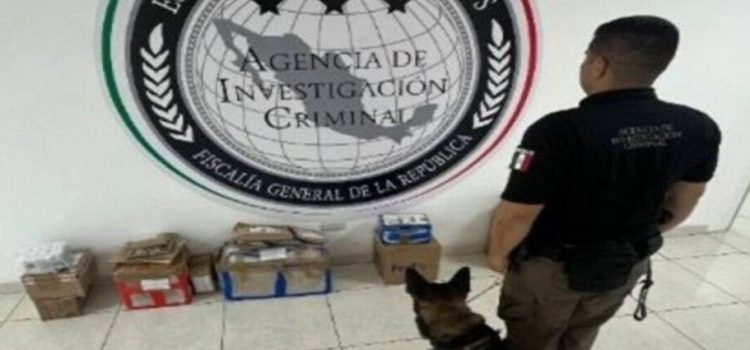 FGR decomisa narcóticos en empresa de paquetería