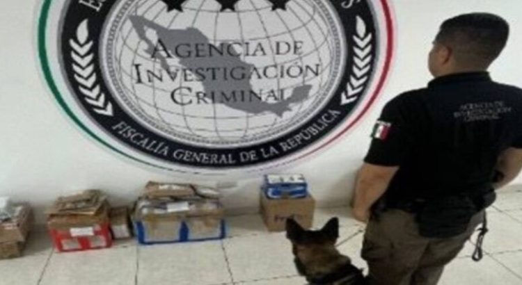 FGR decomisa narcóticos en empresa de paquetería