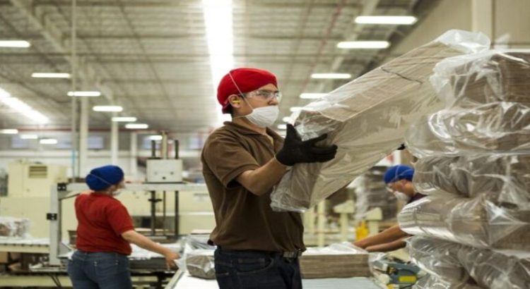 En un año Sinaloa perdió 22 mil empleos