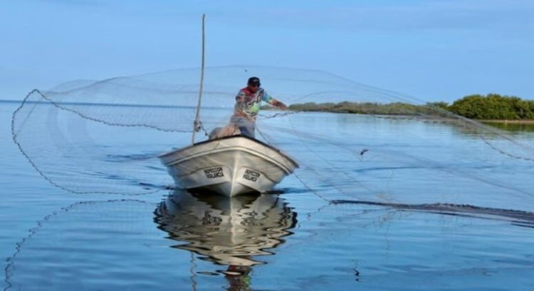 Dispersan recursos para el pago de Bienpesca en Sinaloa
