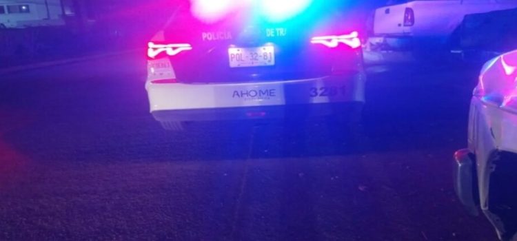 Perro ataca a una mujer en Los Mochis