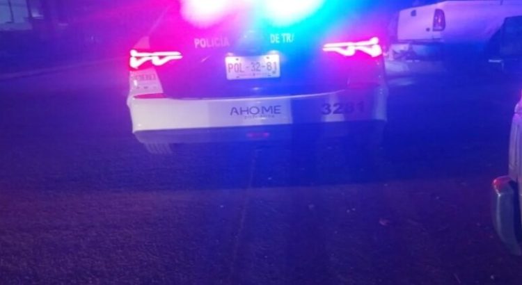 Perro ataca a una mujer en Los Mochis