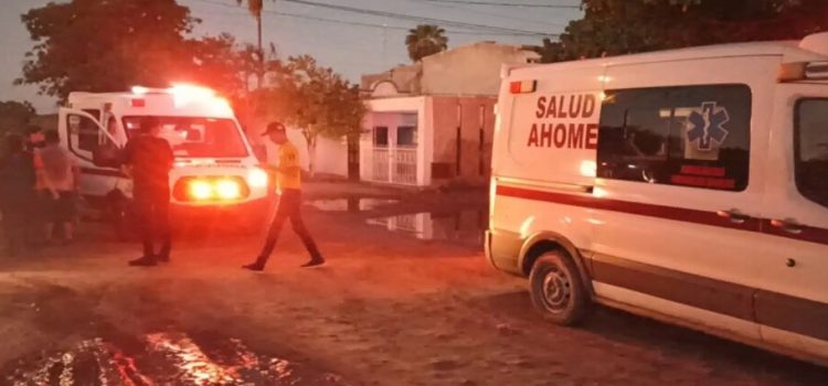 Abejas atacan a adulto y dos menores en Los Mochis