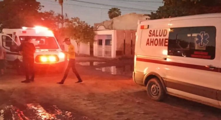 Abejas atacan a adulto y dos menores en Los Mochis