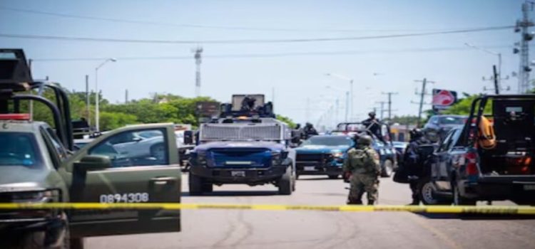 Denuncian 79 muertos y pérdidas millonarias por violencia en Sinaloa