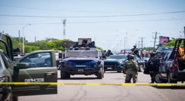Denuncian 79 muertos y pérdidas millonarias por violencia en Sinaloa
