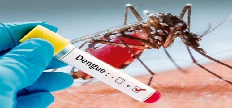 Sinaloa reporta 163 pacientes hospitalizados por el dengue