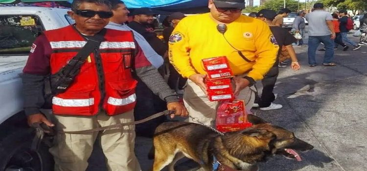 Decomisan pirotecnia ilegal en el tradicional tianguis dominical