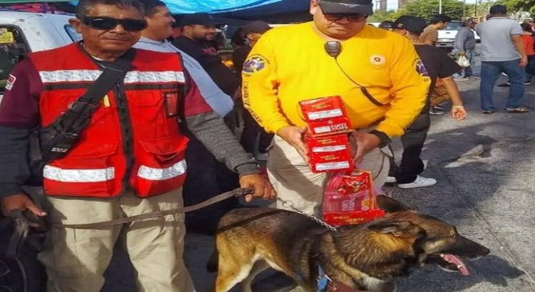 Decomisan pirotecnia ilegal en el tradicional tianguis dominical