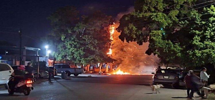 Menores incendian palma al jugar con “cebollitas”