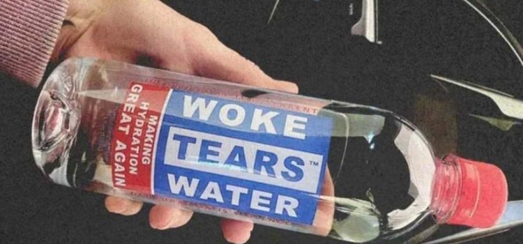 El auge de las tiendas «anti-woke» en los Estados Unidos