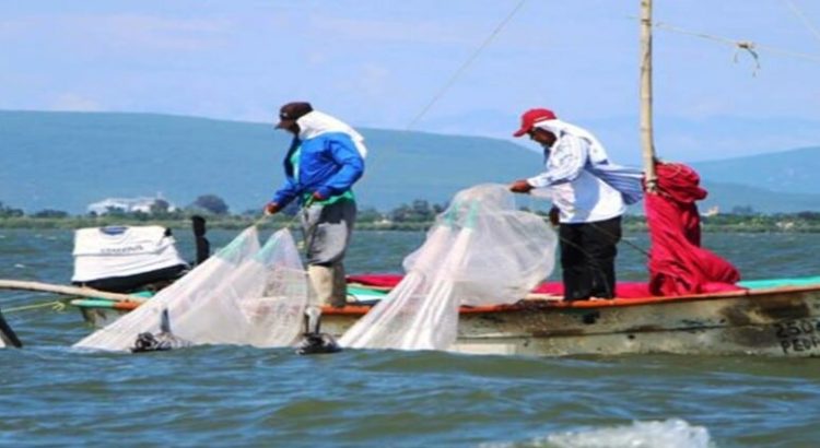 Pescadores de Sinaloa recibirán 11 mil pesos de Bienpesca Estatal y Federal