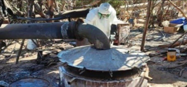 Desmantelan 27 laboratorios clandestinos en municipios de Sinaloa