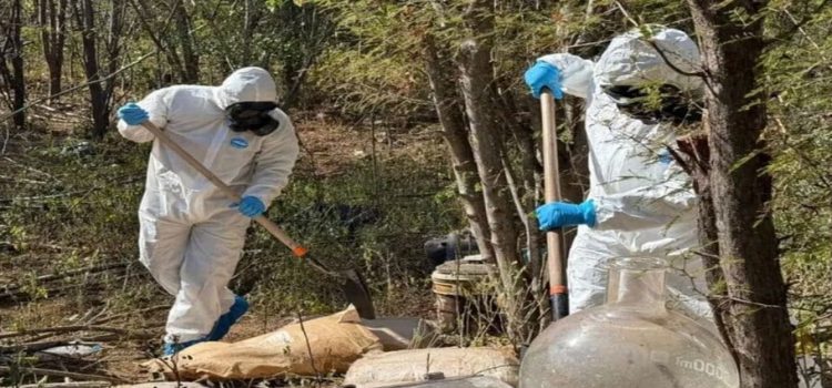 Desmantelan laboratorio clandestino de metanfetamina en Sinaloa Desmantelan laboratorio clandestino de metanfetamina en Sinaloa