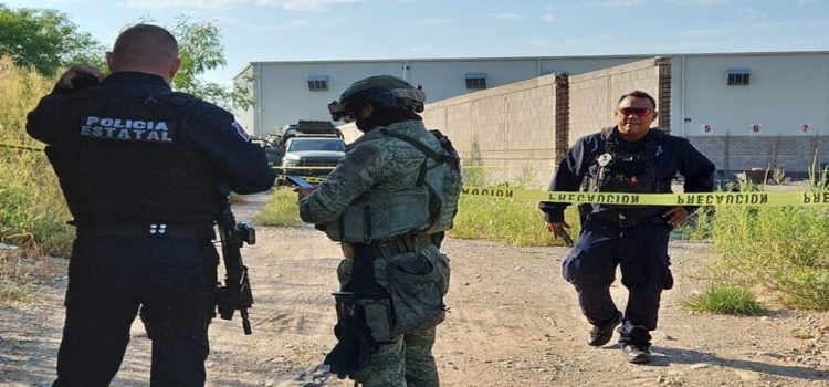Asesinatos bajaron 34% respecto al pico de violencia en 2024,