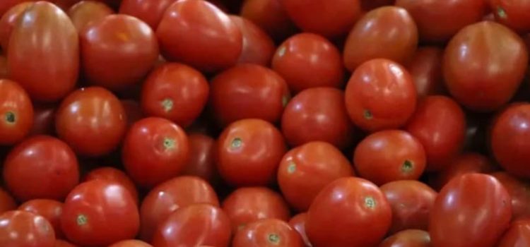 Estados Unidos impone nuevos aranceles al tomate mexicano