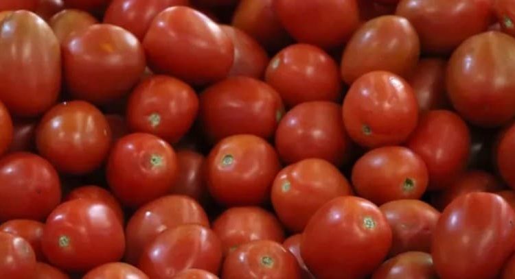 Estados Unidos impone nuevos aranceles al tomate mexicano