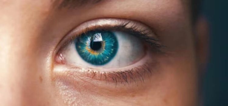 Científicos descubrieron un nuevo color Científicos descubrieron un nuevo color