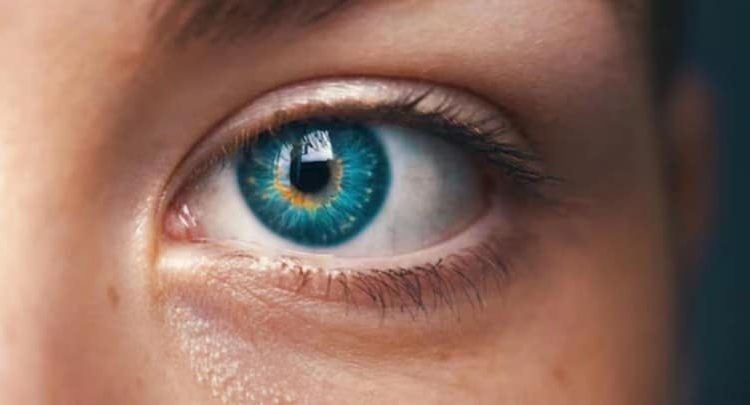 Científicos descubrieron un nuevo color