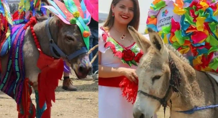 Invitan a … concurso de rebuznos
