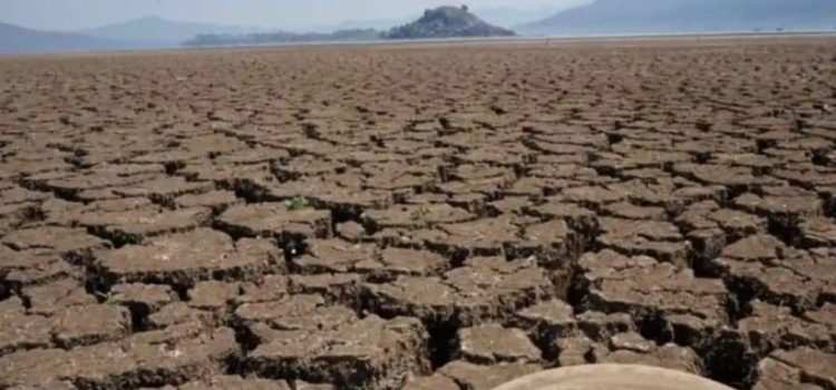 Advierte la ONU sobre “calentamiento global sin precedentes”