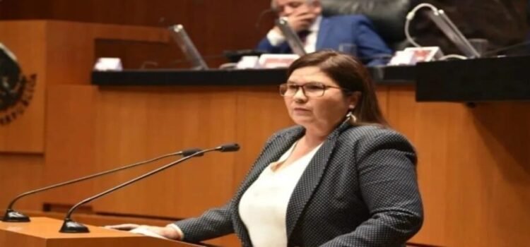 Imelda Castro decide enfocarse en Sinaloa y declina como posible sucesora de Noroña Imelda Castro decide enfocarse en Sinaloa y declina como posible sucesora de Noroña