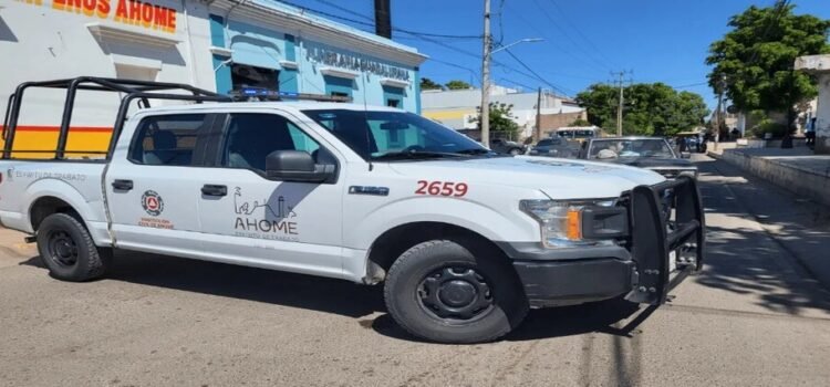 Se intoxica un empleado por fuga de gas Se intoxica un empleado por fuga de gas
