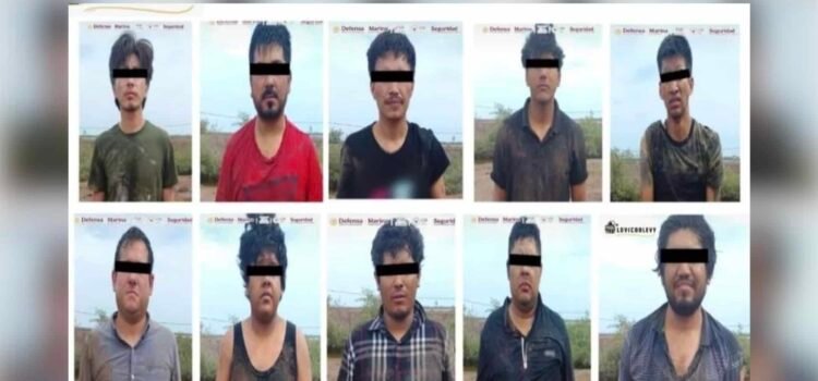 Capturan a 11 presuntos integrantes de “Los Mayos” en operativo en Navolato Capturan a 11 presuntos integrantes de “Los Mayos” en operativo en Navolato