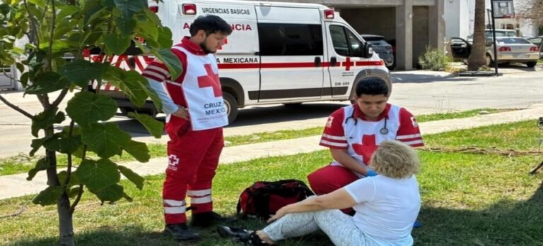 4 mujeres sufren picadura de abejas en Los Mochis